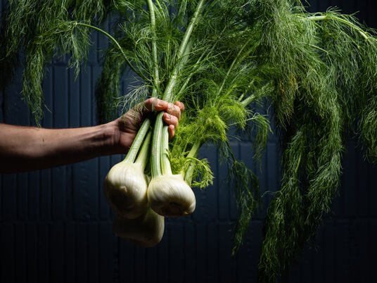 Charta für die Zukunft