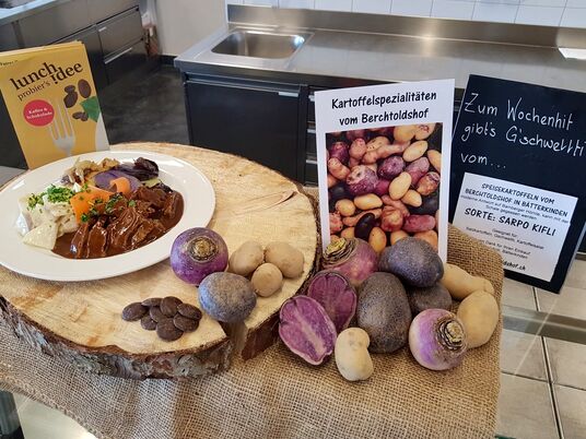 Hausgemachtes Seitangeschnetzeltes