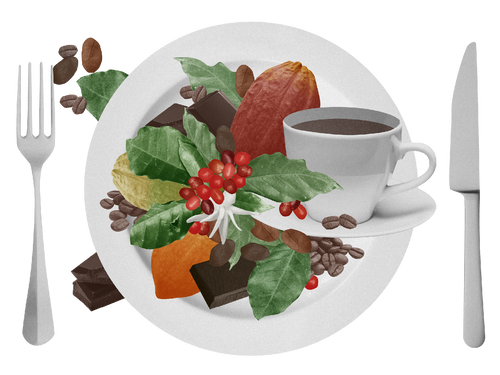 Kostbarkeiten aus der Ferne I